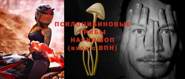 спайс Баксан