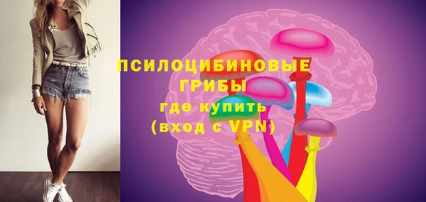 Альфа ПВП Балабаново