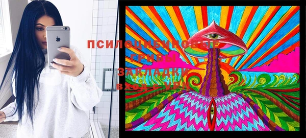 спайс Баксан